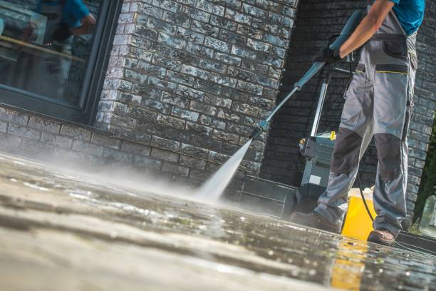 Best Pool Deck Cleaning  in Escobares, TX