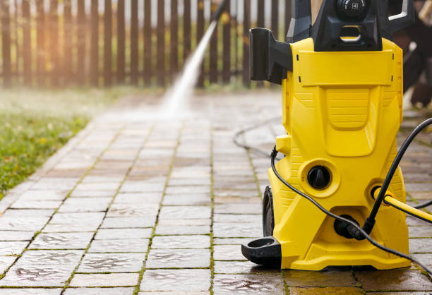 Animal Enclosure Cleaning in Escobares, TX